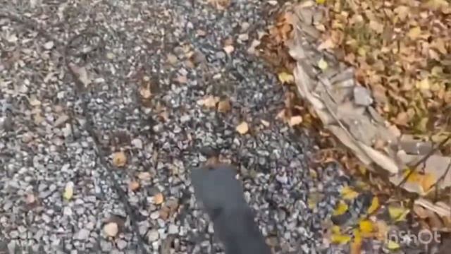 Листва на большой территории . Что делать? смотреть онлайн