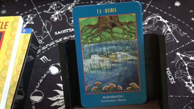 The Anubis Oracle | Full Flip Through of Each Card смотреть онлайн