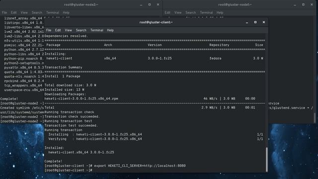 Provision Gluster Storage with REST API using Heketi смотреть онлайн