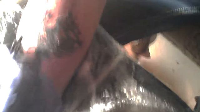 Чувак набил Квопу из (Dota 2) смотреть онлайн