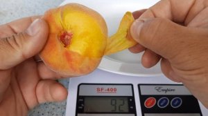 Вкуснейший инжирный персик Бельмондо,Геа, Нерине,ПФ 5Б.