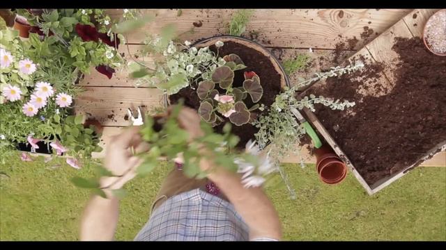 Martin Fish Giving Advice on Hanging Baskets смотреть онлайн