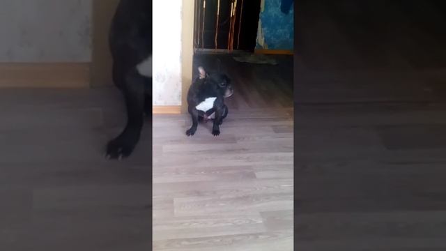 Заложило нос смотреть до конца!)) смотреть онлайн