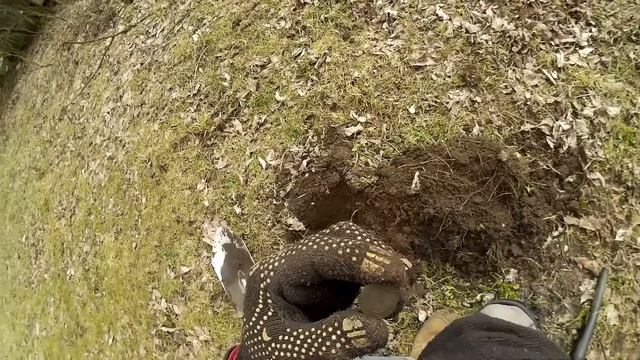 Поиск монет. НА ХУТОРЕ и выезд за чешуйкой, в непогоду (04.04.2015) смотреть онлайн