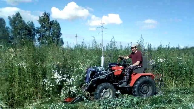 Скашиваю бурьян на усадьбе. смотреть онлайн