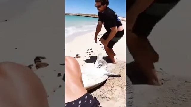 Лежишь себе такой, загораешь. смотреть онлайн