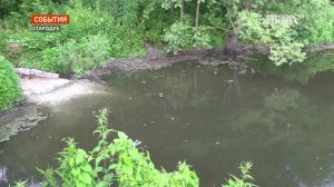 В Брянской области выясняют причины экологического ЧП в Стародубе