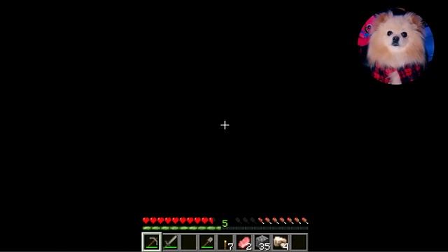 НАЧИНАЮ СНОВА ИГРАТЬ В МАЙНКРАФТ ! ИДУ В ПЕЩЕРУ ! СТРОЮ ДОМ ! MINECRAFT смотреть онлайн