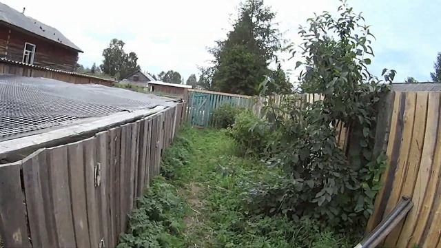 Забой уток черри велли! Покупка трактора МТЗ-82))) смотреть онлайн