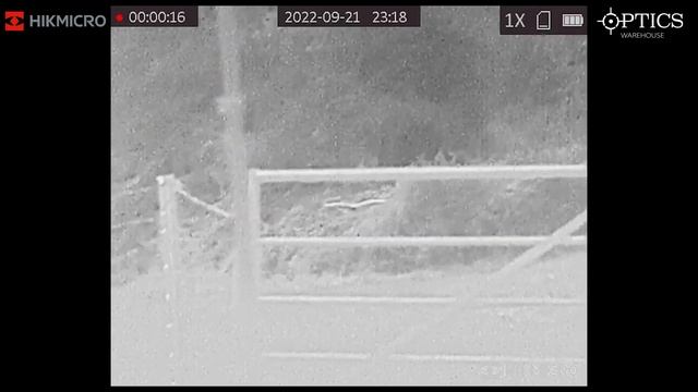 HIKMICRO Lynx PRO 25mm Smart Thermal Monocular Barn Owl Footage смотреть онлайн
