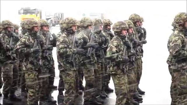 Swiss Army Dance - We Will Rock You смотреть онлайн