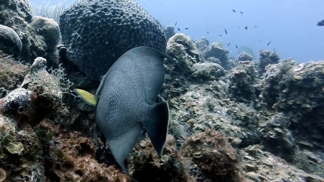 Promo Isla de la Juventud.. смотреть онлайн