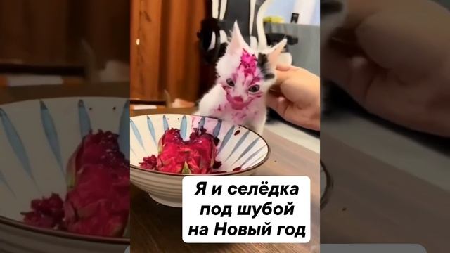 Голодный кот? смотреть онлайн