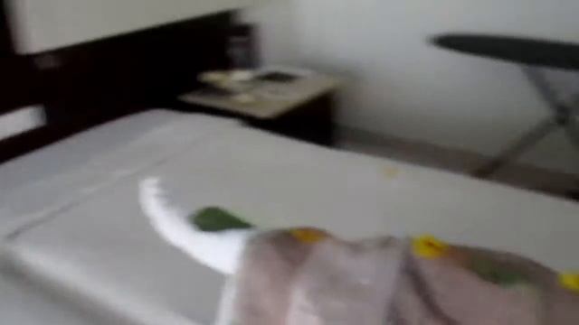 Лебеди в отелях Египта,как это делается! смотреть онлайн