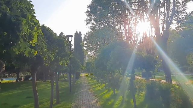 Щекотливая тема✅ Гигиена✅Релакс влог. Турция без туристов утопает в цветах. смотреть онлайн