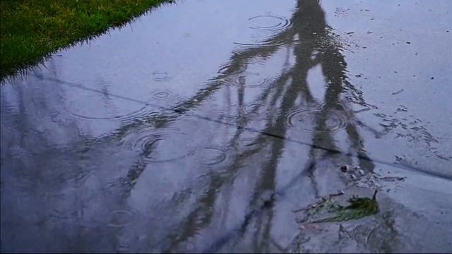 Нежный шум дождя для сна и учебы / Rain sounds for sleeping смотреть онлайн