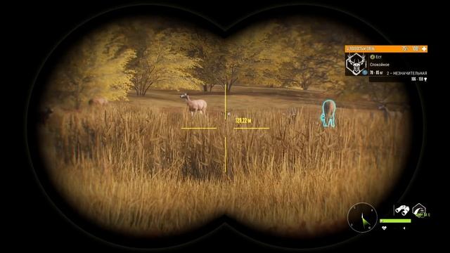theHunter Call of the Wild #1 ? - Трофеи Лейтона (Часть 1) - Поместье Спринг-Крик смотреть онлайн