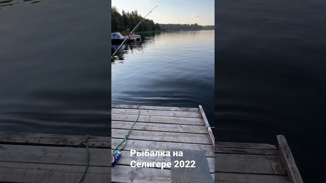 Индивидуальные экскурсии, прокат катера и гидроцикла на озере Селигер. Seligerservis.ru