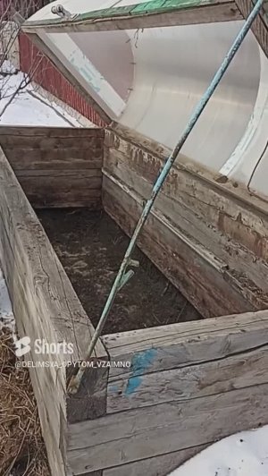 Сибирь. Парник - рассадник. Что это такое