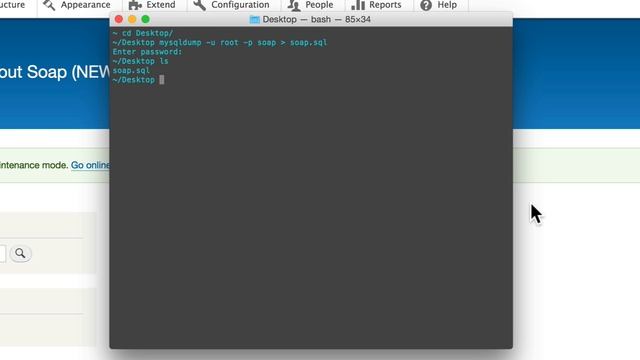 Moving a Drupal 8 Site, Lesson 4: Importing the Database смотреть онлайн