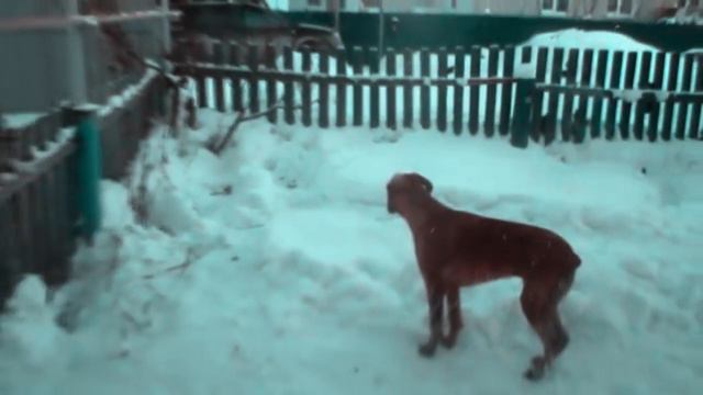 Привет друзьям!