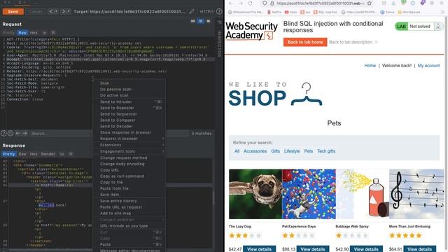 Blind SQL injection with conditional responses смотреть онлайн