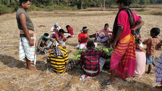 Mag Bonga II Santali bonga buru culture //Kaleitumba Atu// Date; 14/02/2024 Mayurbhanj смотреть онлайн