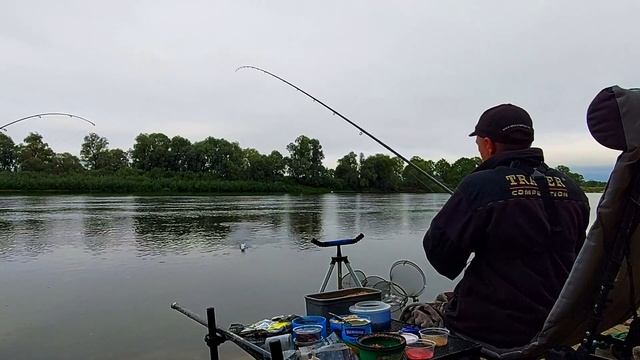 Осеняя Припять. Ловля фидером на реке Припять. смотреть онлайн