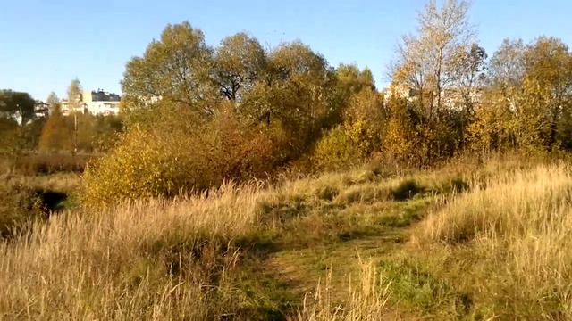 Лес, Днепр (Смоленская обл.) 08 10 2021 год смотреть онлайн