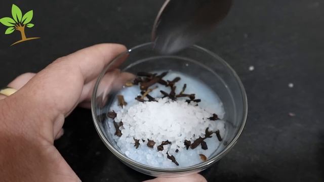 É SÓ COLOCAR CANELA NO SAL E NÃO TIVE MAIS PROBLEMAS! смотреть онлайн