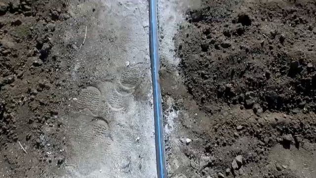 Система полива и внесения удобрений для голубики. смотреть онлайн