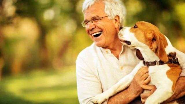 Прививки для собак по возрасту: таблица вакцинации смотреть онлайн