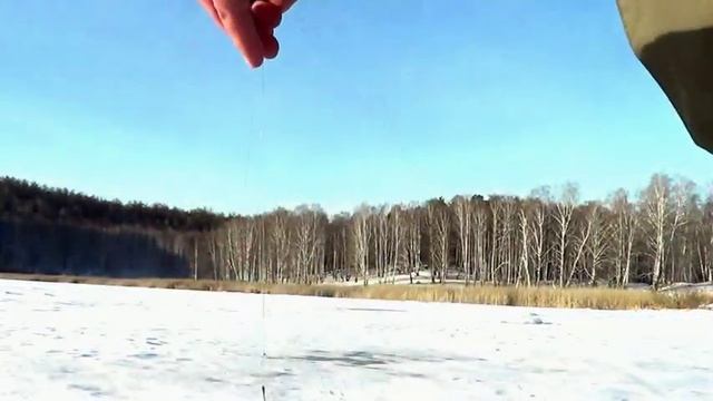 Ловля ротана по первому льду. Поклёвки ротана. "На рыбалку не шутя" смотреть онлайн