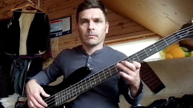 Краткий обзор бас- гитары TERRIS THB-43 BK Бас-гитара с OZON. смотреть онлайн