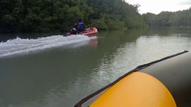 INFLATABLE BOAT Solar Marine 8hp Mercury