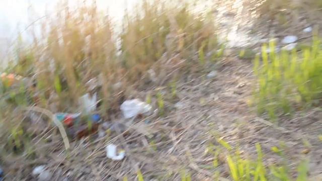 Пляж смотреть онлайн