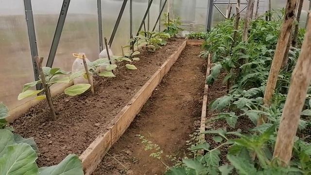 Теплицы/Капельный полив/Какой лучше смотреть онлайн