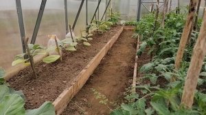 Теплицы/Капельный полив/Какой лучше