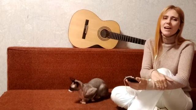 "Ветер перемен" на удалёнке)) смотреть онлайн