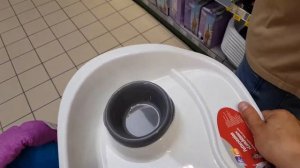 Первые покупки для котенка Мейн Кун.