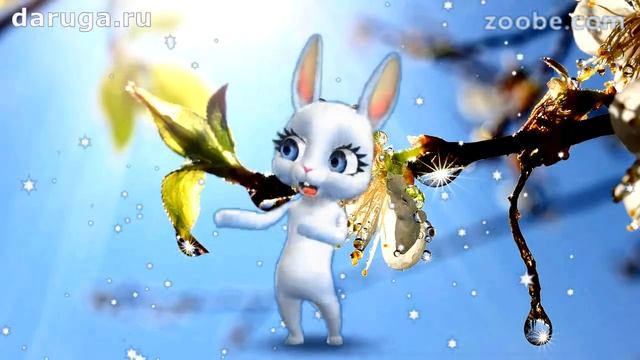 Добрый день. Прикольные короткие видео пожелания доброго хорошего дня смотреть онлайн