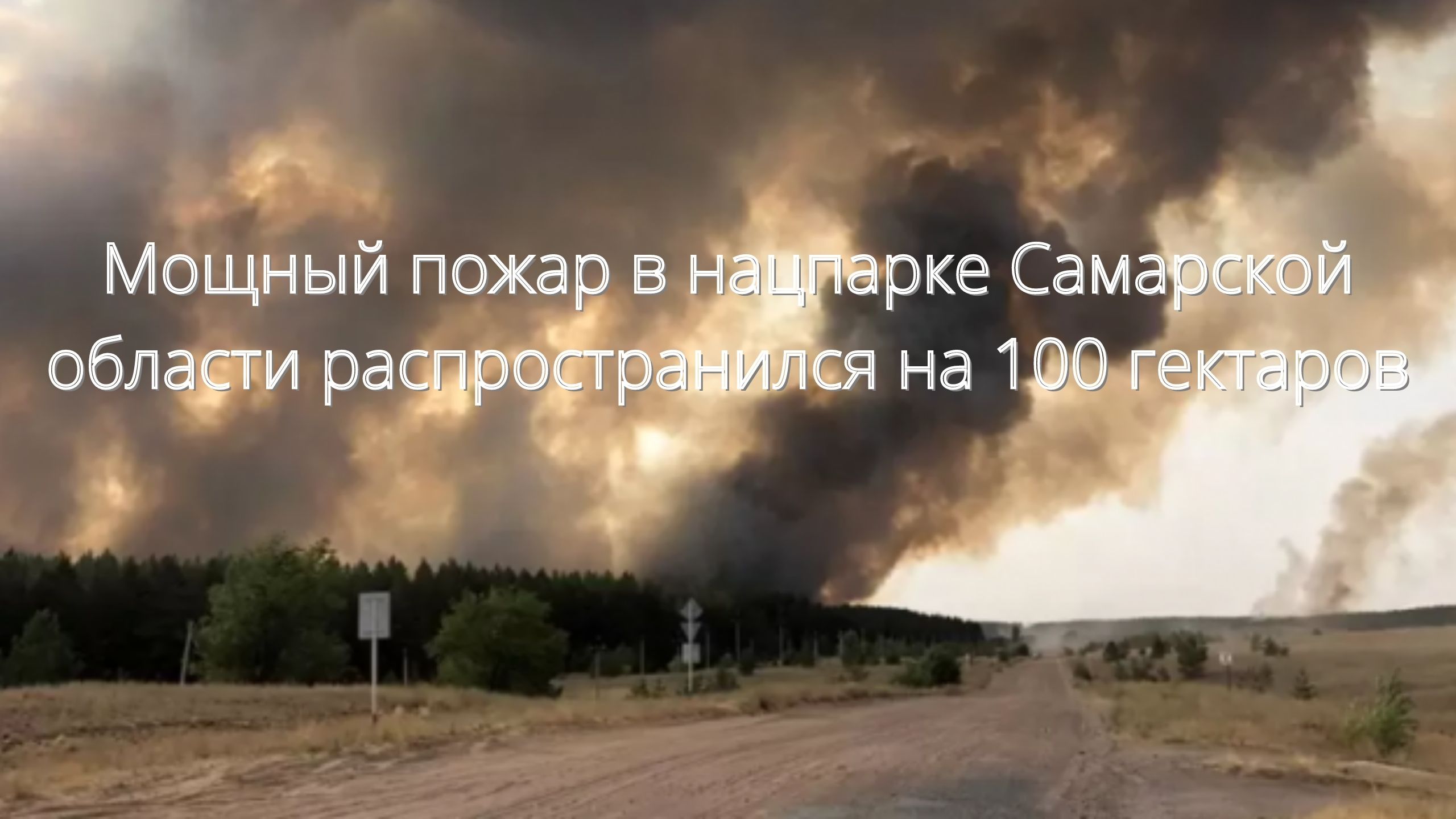 Мощный пожар в нацпарке Самарской области распространился на 100 гектаров/// смотреть онлайн