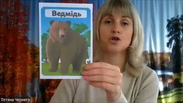 Розвиток мовлення, середня група смотреть онлайн