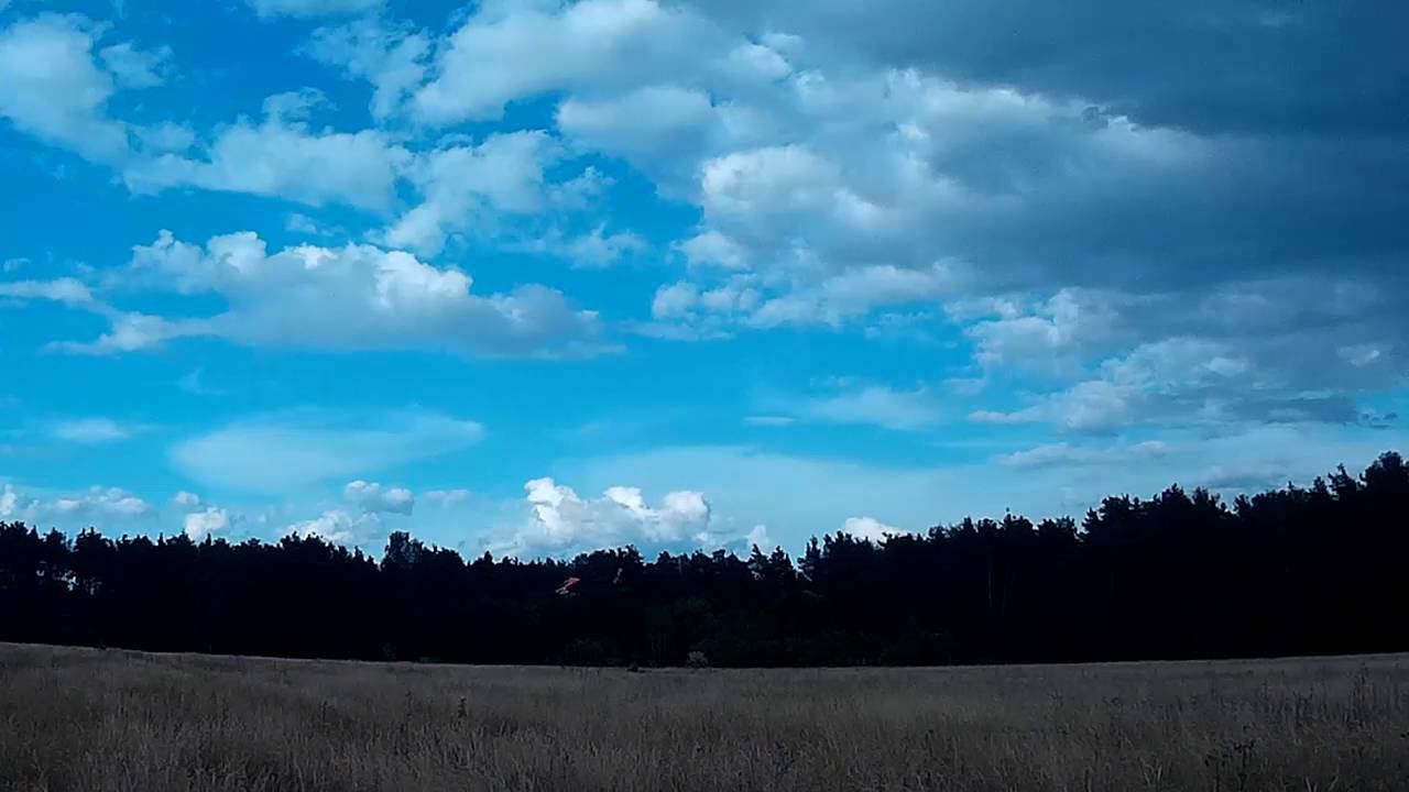 2016 0709 175813 047 смотреть онлайн