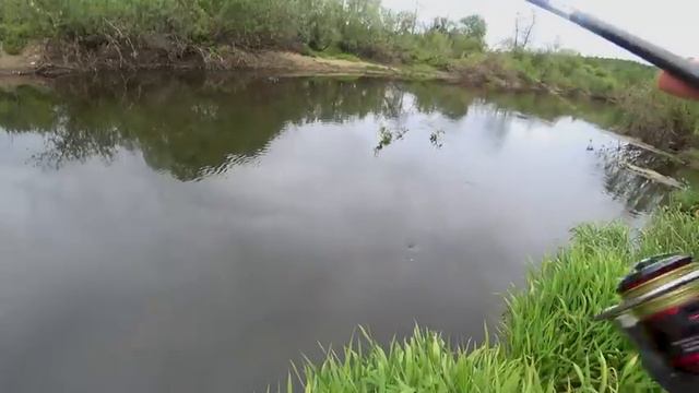 РАСКУСИЛИ КАПРИЗЫ ГОЛАВЛЯ!!! СЛОМАЛ КРЮК НА ПОКЛЁВКЕ!!! смотреть онлайн