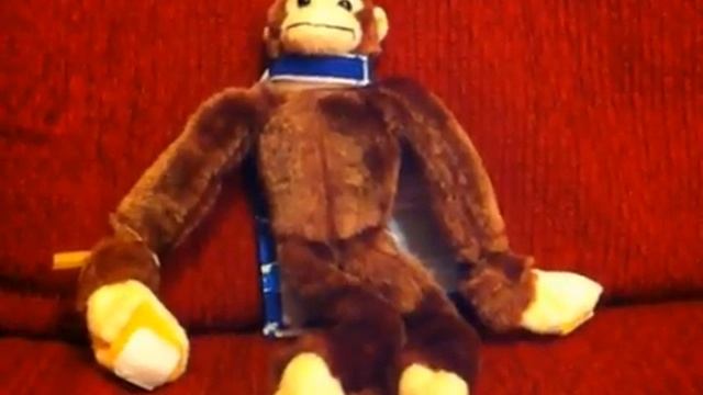 SCN monkey смотреть онлайн