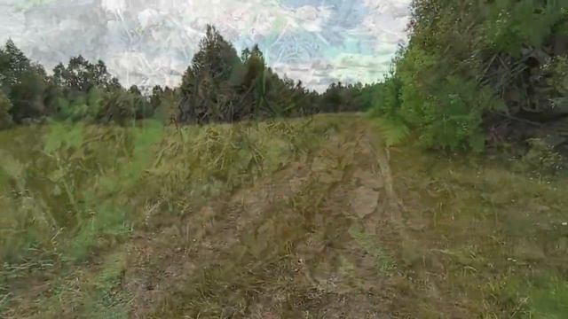 Листовая земля| Воскресный день в лесу| 25.06.2023 смотреть онлайн