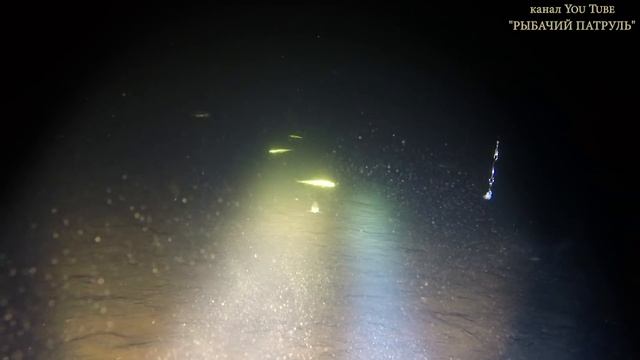 Удивительный подводный мир подо льдом зимой / The amazing underwater world beneath the ice in winte смотреть онлайн