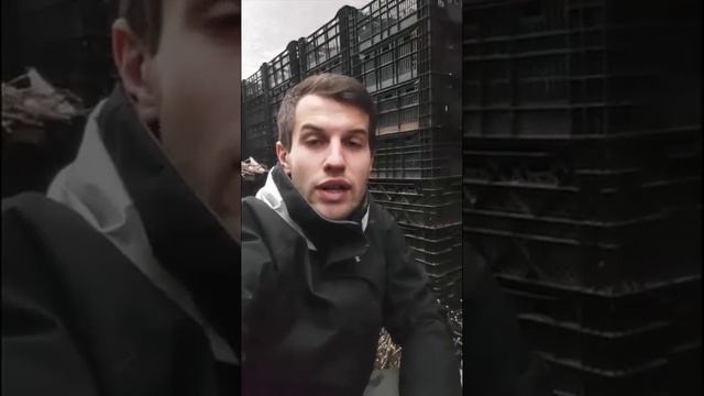 Питомник растений в Ижевске - Прививка яблонь и груш смотреть онлайн