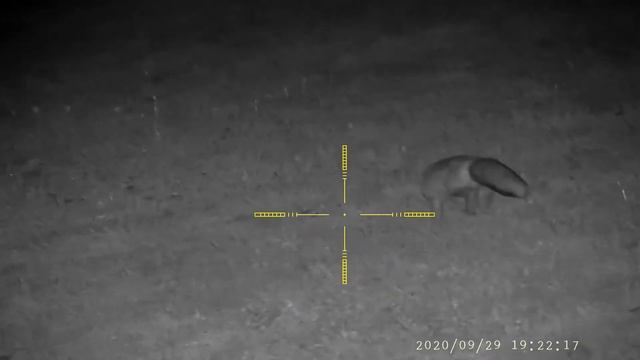Pard 008 fox смотреть онлайн